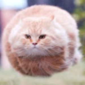 Meet your Posher, Evan